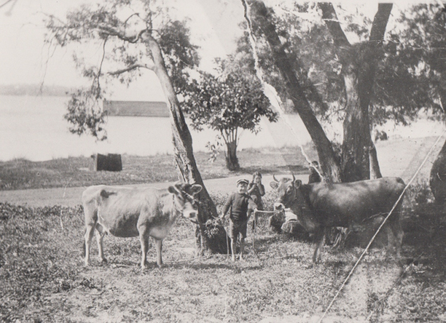 Pasture Land 1899
